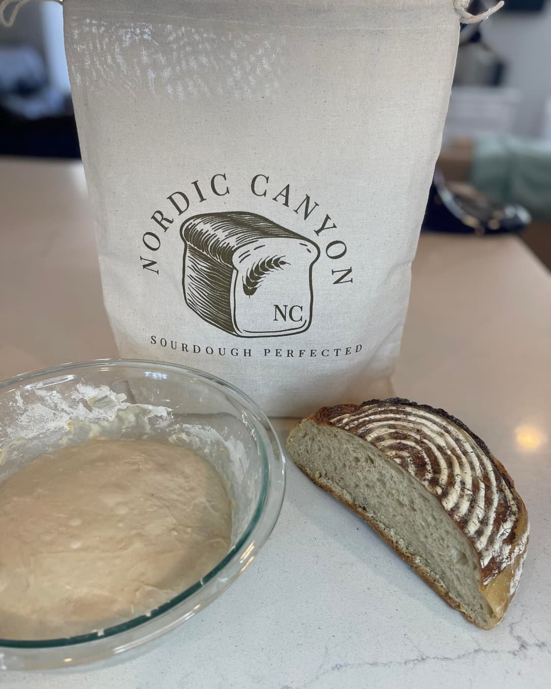 The Nordic Canyon proofing and storage bag beside a bowl of sourdough
